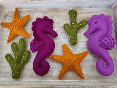 Seahorse World