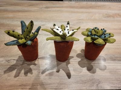 Three Potted plants kit