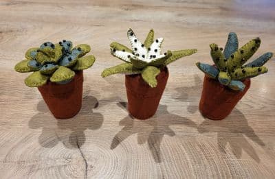 Three Potted Plants pattern