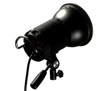 Safari Classic Head FLA004