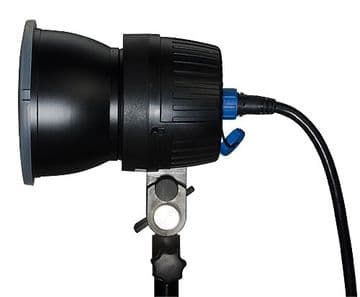 Safari Li-on Head L10004