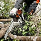 Chainsaws, Pole Pruners  & Accessories