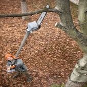 Long Reach Petrol Pruner (For Hire)