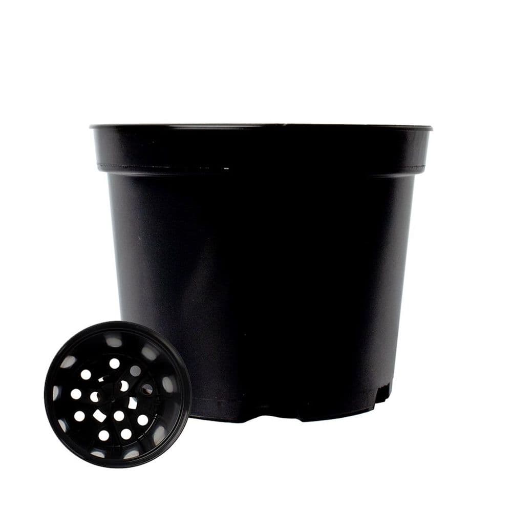 1 Litre Round Black plastic plant Pot