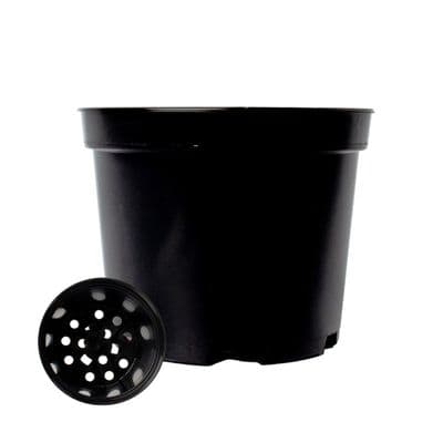 1 Litre Round Black plastic plant Pot