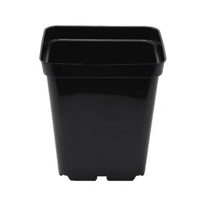 1.5 litre black square plant pot