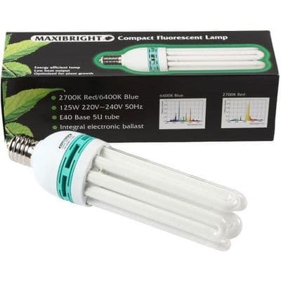 125w Maxibright Cfl Bulb