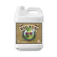 Advanced nutrients Big Bud For 