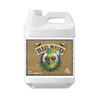 Advanced nutrients Big Bud For 