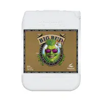 Advanced nutrients Big Bud For 