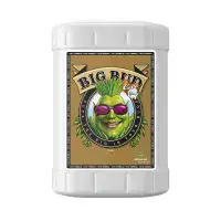 Advanced nutrients Big Bud For 