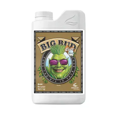 Advanced nutrients Big Bud For 