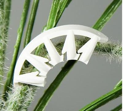 Bendz - Plant training x 50