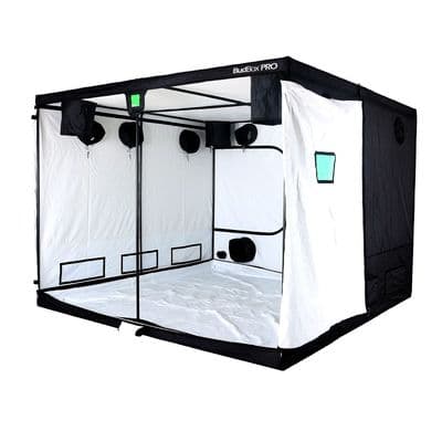 BudBox Pro White Grow Tent 300cm x 300cm