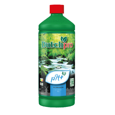Dutch Pro ph up