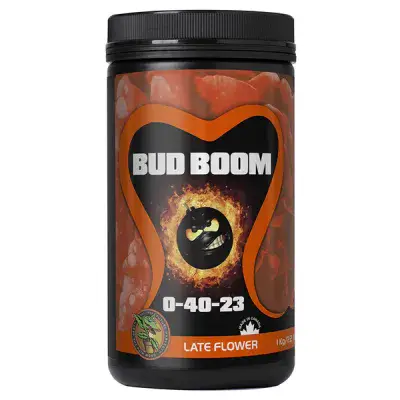 FHD Bud Boom