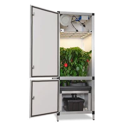 G-tools G-kit Bonanza 170w Led + Hydro kit  Grow Box.