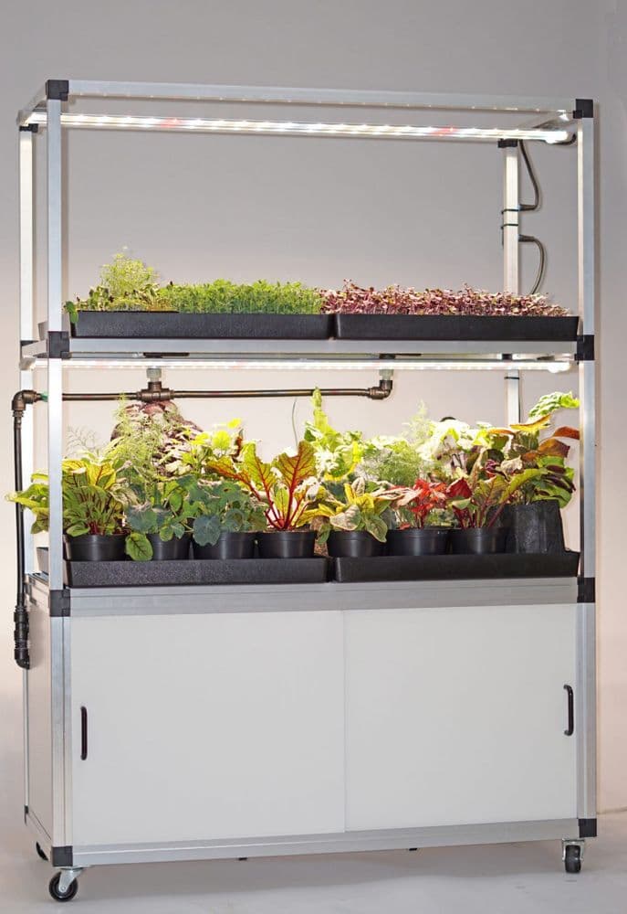 G-Tools Kitchen Farm XL - Micro Greens Grow System