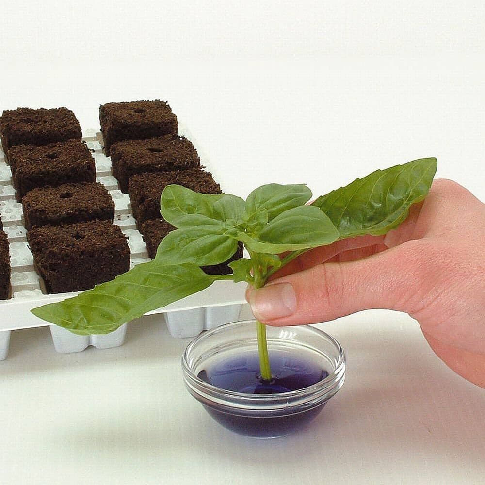 Growth Technology Root Riot Organic Plant Cubes x 100 Bag