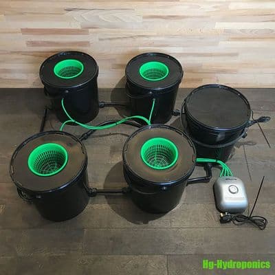HG 4 Pot RDWC Recirculating System