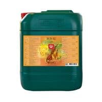 House and Garden Bud XL