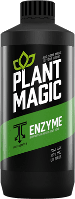 Plant magic Enzyme
