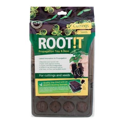 ROOT!T Natural Rooting Sponge 24 Cell Filled Trays