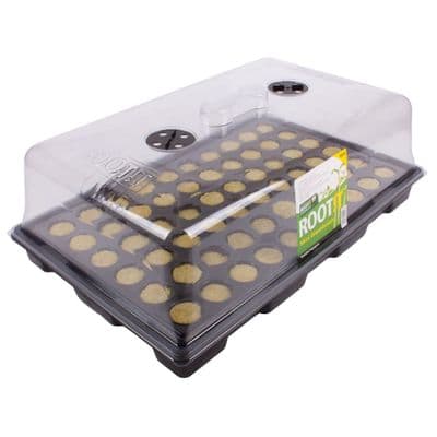 Rootit Large Propagator