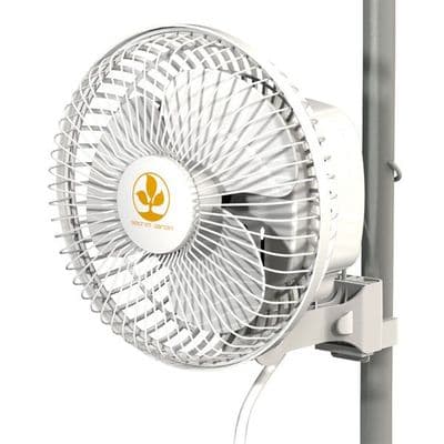 Secret Jardin Monkey Fan - 16w MF16