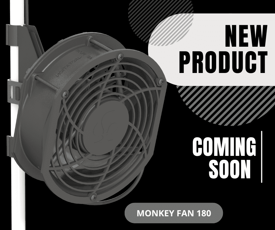Monkey Fans Secret Jardin Monkey Fan 180