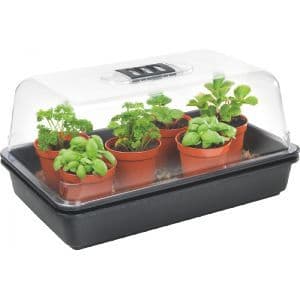 Stewart Medium Heated Propagator