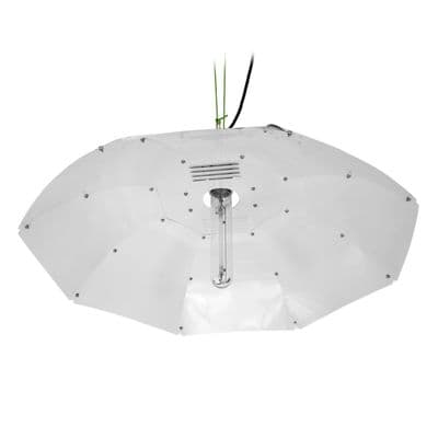 Sun King Parabolic Reflector