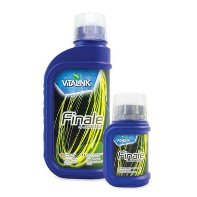 Vitalink Finale