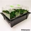 X-Stream 80 plant Aeroponic propagator