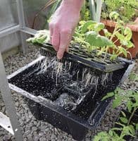 X-Stream 80 plant Aeroponic propagator