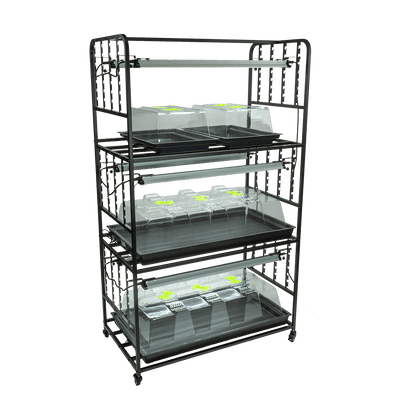 X-stream Propagation Seed Rack