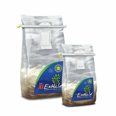 XL Exhale Co2 Bag