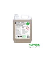 Magnum Force | Alkaline Traffic Film Remover | 5 Litre