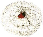SYR Interchange Freedom Syrtex (syntex) Mop Heads - Freedom Range