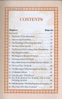 100 Islamic Stories (Book by Muhammad Din Sialvi ) ideal true stories in english