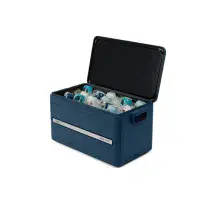 Coleman®  45QT (42l) Snap 'N Go Collapsible Cooler