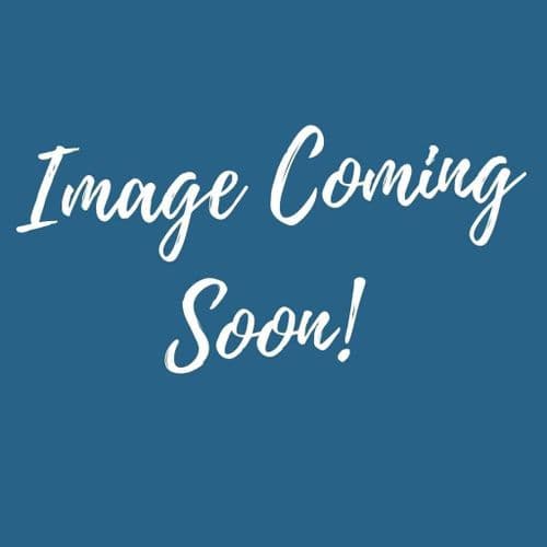 Coleman Event Shelter 3 x 3 PRO Replacement Bag