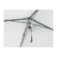 Coleman® Fastpitch OnePush  Shelter L