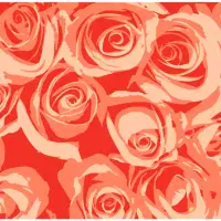 Trekmates Choob Roses Camelia