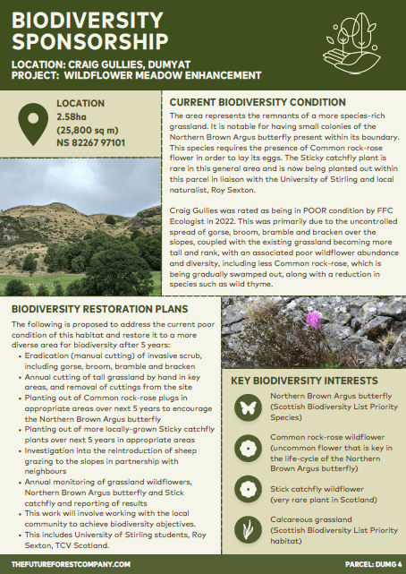 A little more about Novembers Nature Restoration Project with The Future Forest Company