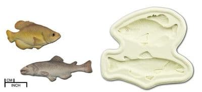 DPM Mould: Salmon and Carp