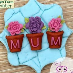 Katy Sue Mould: Alpha Pots