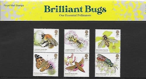 2020 Pack Number 592 Brilliant Bugs Presentation Pack