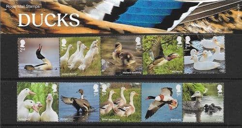 2025 Pack Number 670 Ducks Presentation Pack
