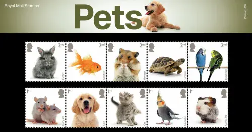 2026 Pack Number 686 Pets Presentation Pack